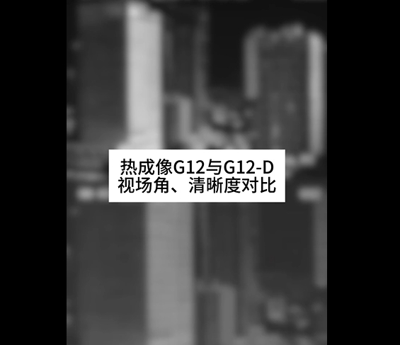 G12與G12D熱成像對比